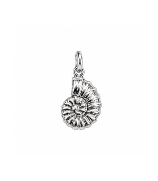 Sprirale di Mare silver