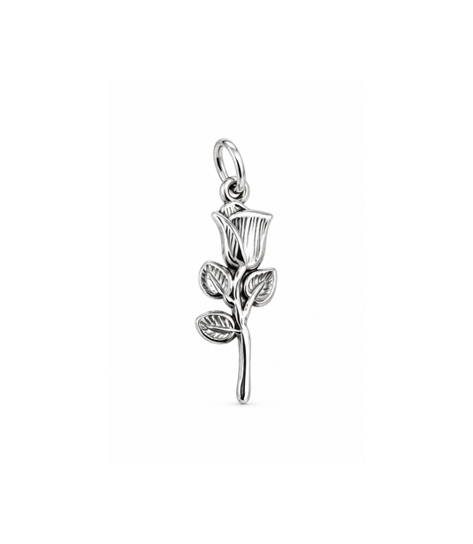 Rosa di Passione silver